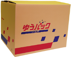 ゆうパックダンボール