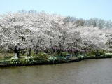上尾丸山公園